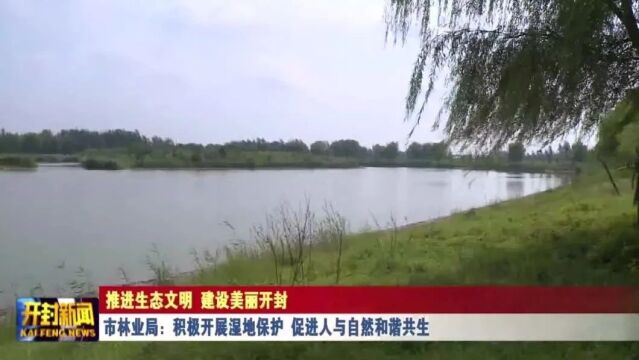 市林业局:积极开展湿地保护 促进人与自然和谐共生