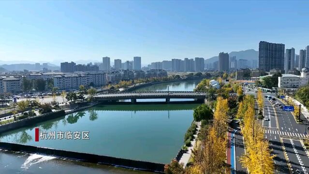 杭州临安:留住限定浪漫