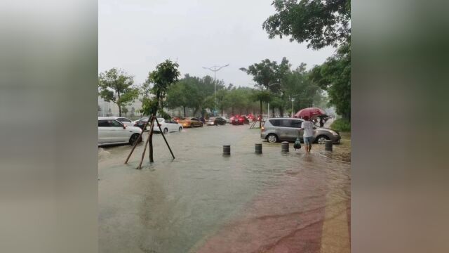 阳江部分地区暴雨红色预警高挂!市气象局预计降水仍将持续