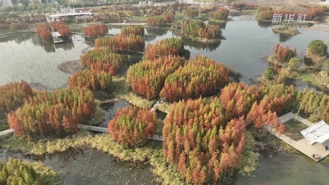 江西南昌:城市湿地 处处皆景