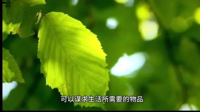 我们到底是想要还是需要