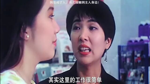 女主好漂亮啊,这个女主叫啥?