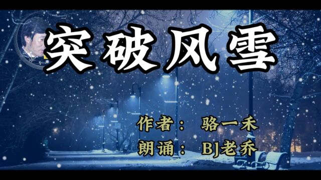 老乔朗诵骆一禾的突破风雪