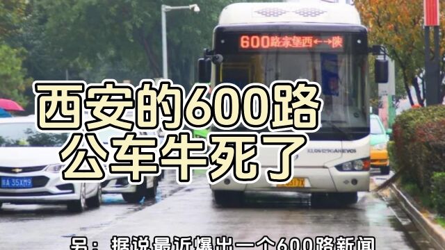 十六异【长安故事】西安的600路公车牛死了