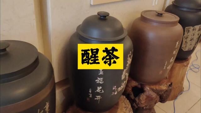 醒茶#爱喝茶的关注我 #茶知识