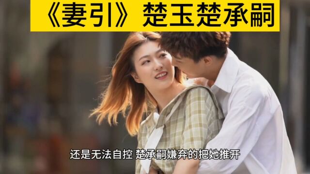 经典甜虐热文《妻引》楚玉楚承嗣(妻引小说)完整版阅读