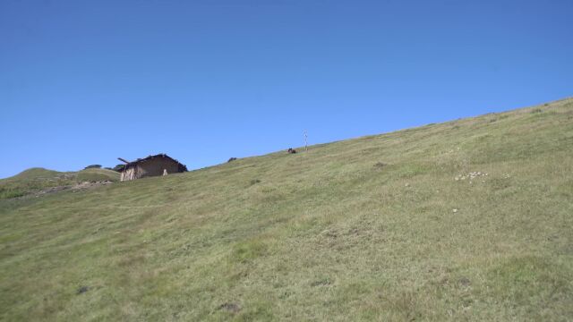 尼泊尔当地的黄咖喱和米饭烹饪,牧羊人家庭的天然食谱