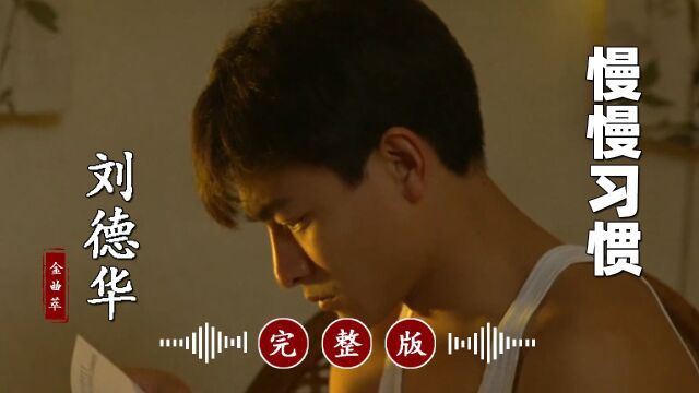 刘德华的冷门歌曲《慢慢习惯》完整版,超好听!