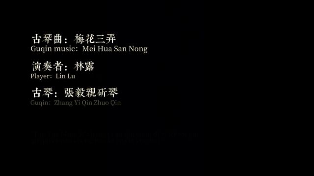 张毅古琴院||琴曲【梅花三弄】“桃月鸣丝”张毅古琴院第一届吴派古琴传承班毕业音乐会单曲欣赏 演奏者:林露