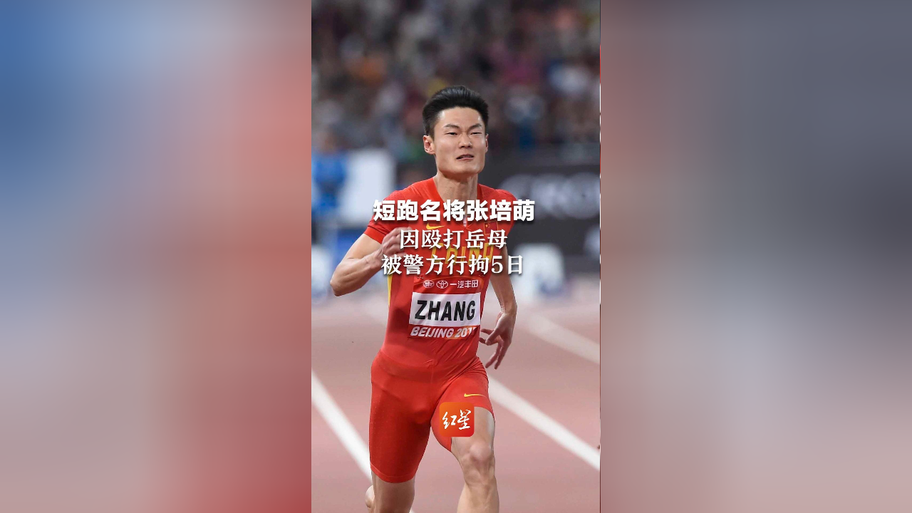 短跑名将张培萌因殴打岳母,被警方行政拘留5日