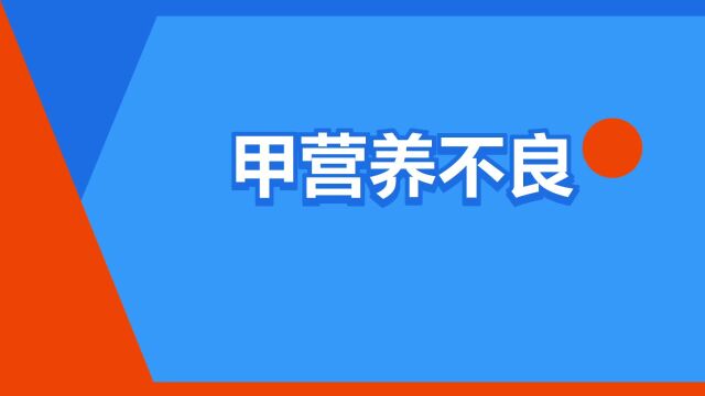 “甲营养不良”是什么意思?