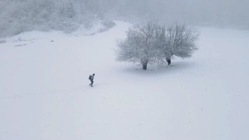 一个人的冬天，并不孤独#旅拍 #跟拍 #重庆武隆仙女山雪景