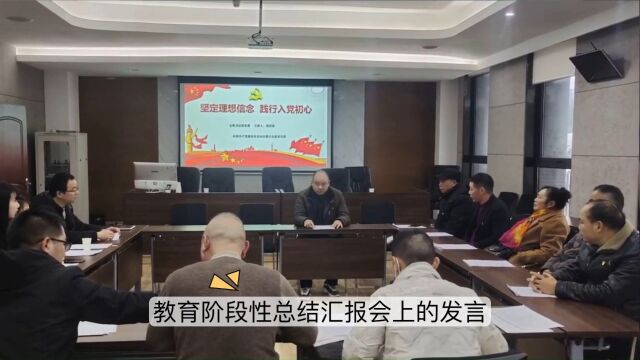 XX市文广旅局在主题教育阶段性总结汇报会上的发言