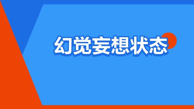 “幻觉妄想状态”是什么意思?