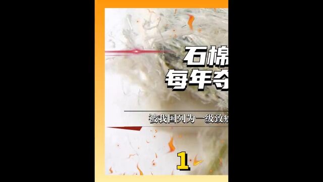 石棉的危害有多大?每年夺走23万条人命,被我国列为一级致癌物1科普一下环境污染石棉