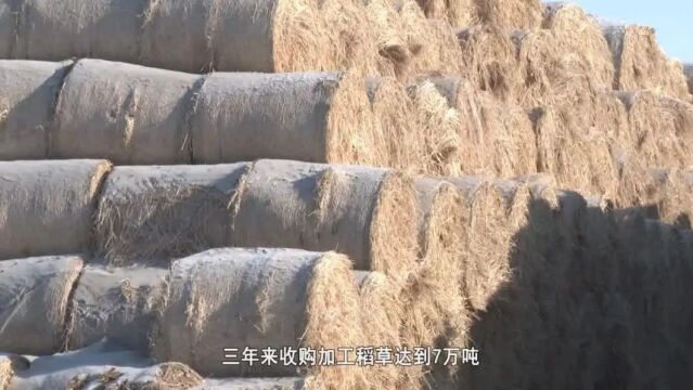 专题【乡村振兴进行时】岔路口镇:“秸”尽所用 为乡村振兴助力