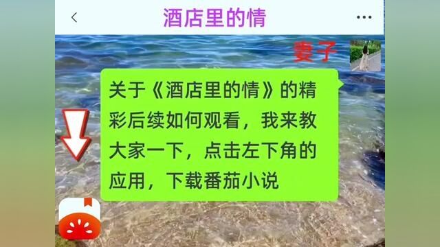 《酒店里的情》全集,点击左下方下载(番茄小说)精彩后续听不停#番茄小说 #小说