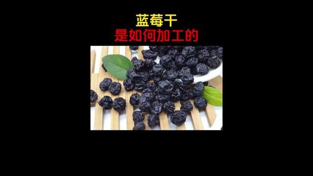 蓝莓到底是长在哪里的?来看看酸甜可口的#蓝莓干 在工厂是如何加工制作的!#蓝莓 #优质农产品 #妈呀太香了 #果干