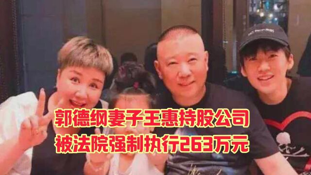 郭德纲妻子王惠持股公司被强制执行