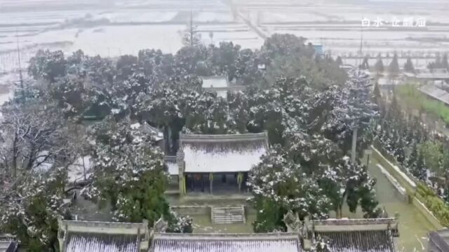 雪后仓颉庙 千年古柏群与白雪同框