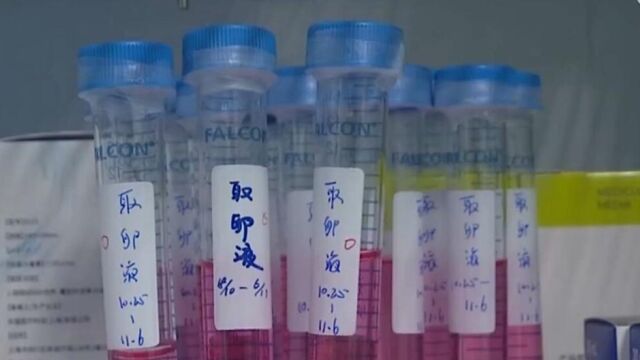 全国首例“准胎儿”获赔抚养费案