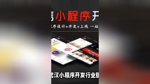 武汉小程序开发行业洞察:如何抓住2024年商机?