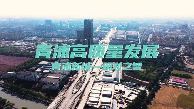 烟火波光、人水相依,青浦新城许你一处江南新天地