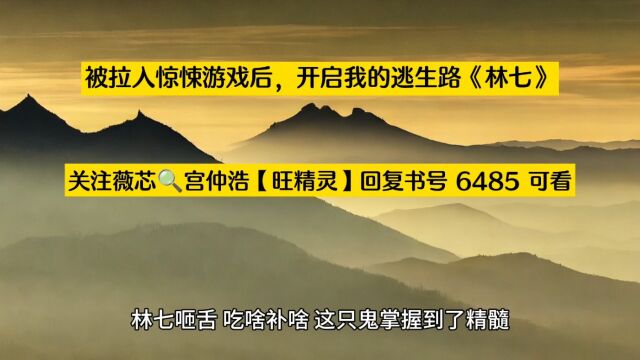 被拉入惊悚游戏后,开启我的逃生路《林七》小说在线阅读○完整版