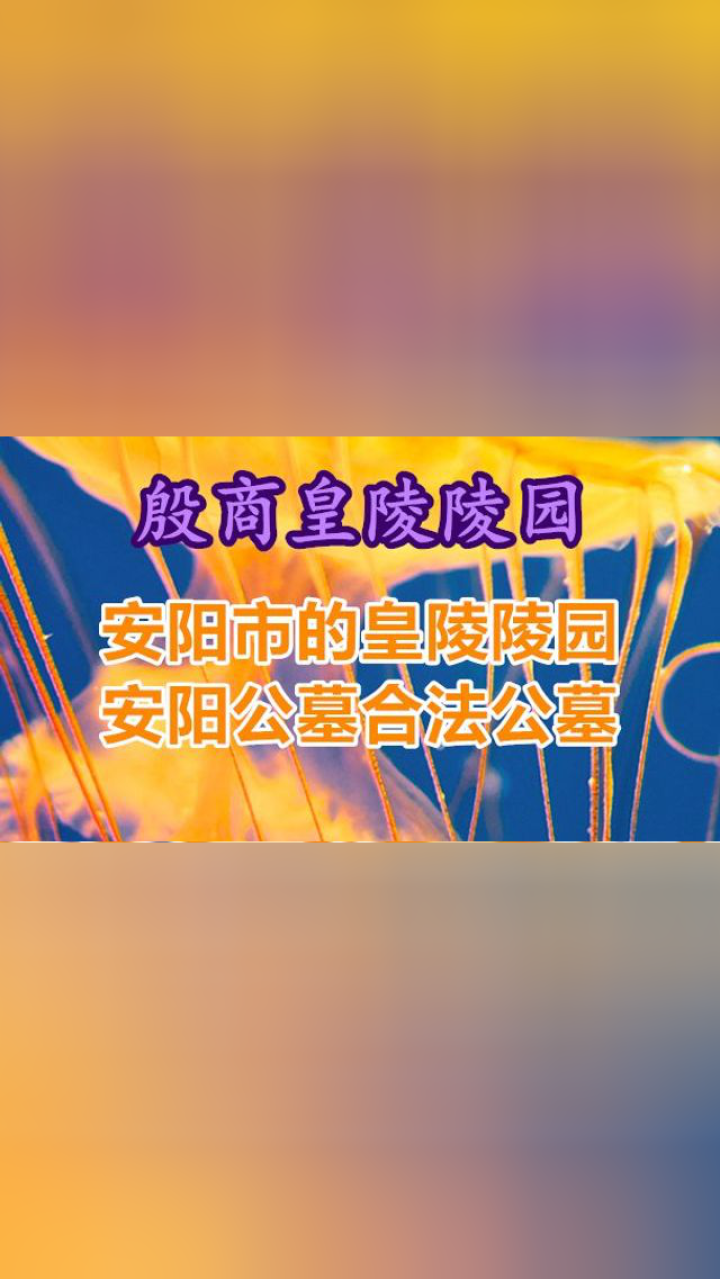 殷商皇陵陵园图片