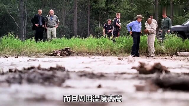 湖里突然出现深洞,生物学家发现,深海巨怪竟然来自地球内部岩浆