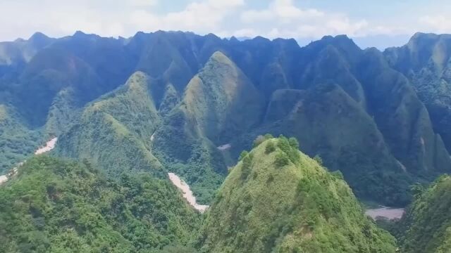 惊飞远映碧山去,一树梨花落晚风