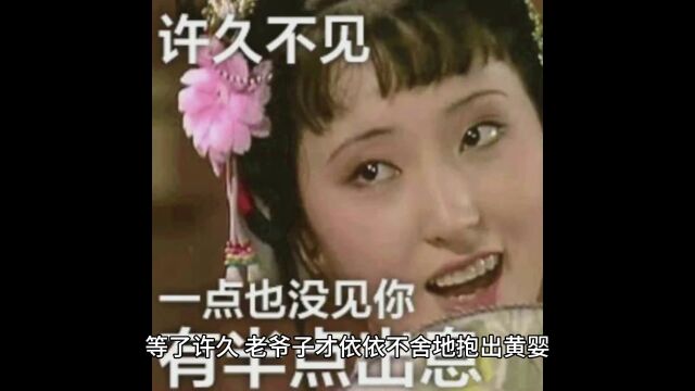 民间故事孪婴计