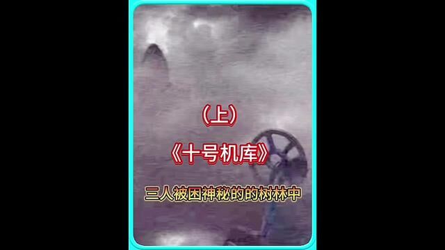 迷失在森林中的恐怖遭遇 经典#伪纪录恐怖片 (上)#白天刷不到晚上逃不掉系列 #悬疑 #影视解说 #恐怖片