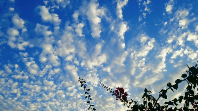 广西百色市山间棉花云漫天聚集宛如仙侠奇境 冬季赏美景晓看天色暮看云行也思君坐也思君