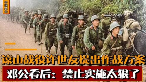 1979年諒山戰役,許世友提出一套作戰方案,為何黨中央果斷拒絕