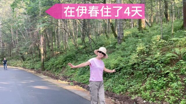 旅居在伊春,漫游兴安国家森林公园和兴安植物园