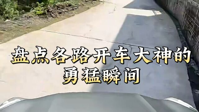 盘点各路开车大神的勇猛精进