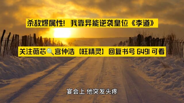 杀敌爆属性!我靠异能逆袭皇位《李道》——小说阅读○全章节