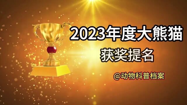 2023年大熊猫获奖提名,看看有没有你喜欢的