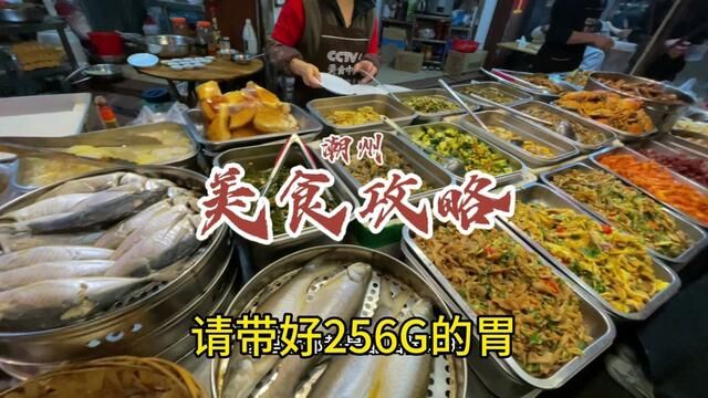 潮州美食攻略~过年要来潮州旅游的宝子们看过来!#潮州美食攻略 #潮州美食 #地方特色美食 #潮州