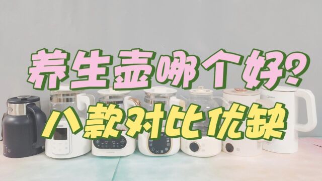 养生壶哪个牌子质量好?8款热门型号对比优缺测评