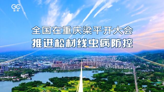 全国在重庆梁平开大会 推进松材线虫病防控