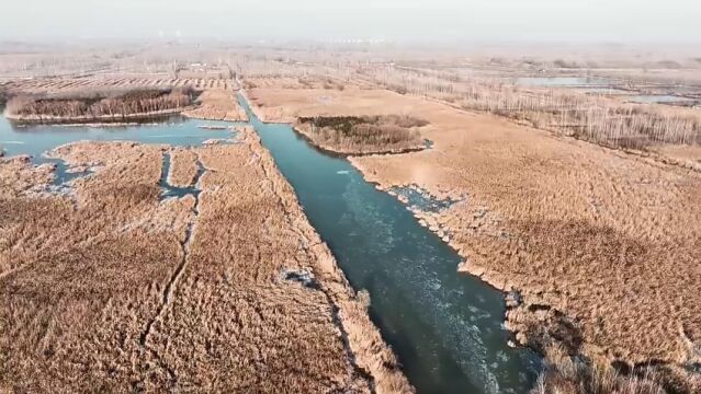 瞰济宁:邂逅冬日的惠河湿地