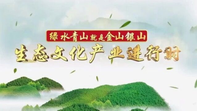 中国经济网 | 麦积区:立足增产增收 发展壮大特色林业产业