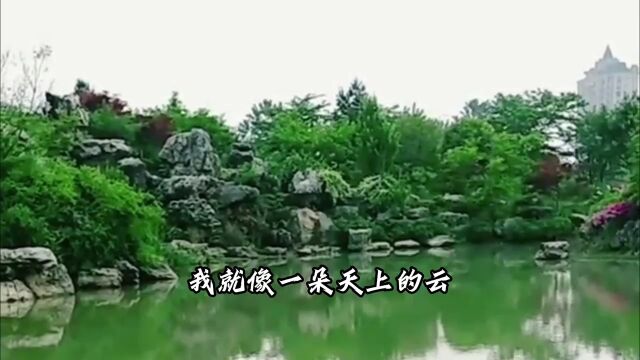 音乐情感风景