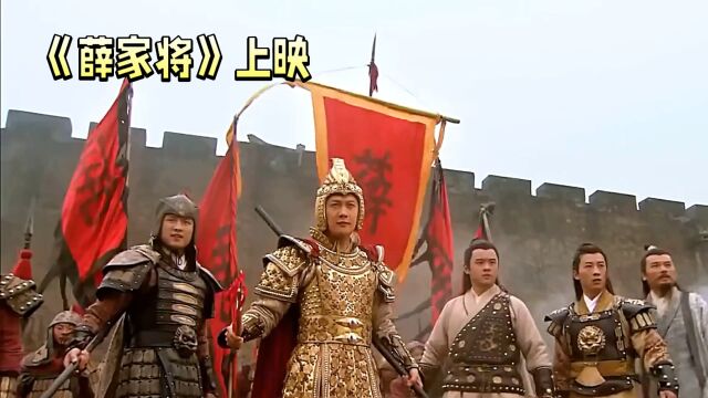 聊聊薛家将