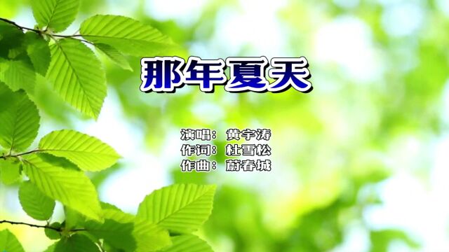 黄宇涛  那年夏天(KTV版)