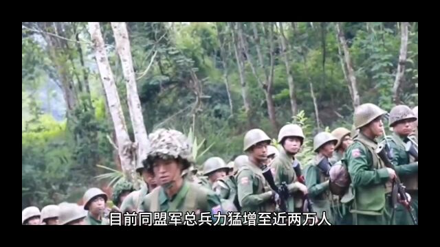 同盟军经过两个月的战斗,兵力反而增至两万