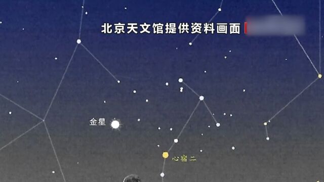 双星伴月1月9日凌晨登场