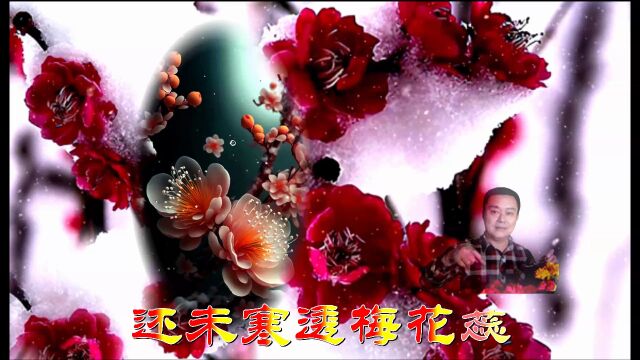 梅花泪 钢琴版 辛更KTV音乐视频4K制作01